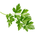 buy parsley dubai freshleaf uae