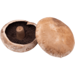 buy portobello mushroom dubai freshleaf uae