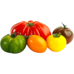 buy tomato heirloom dubai freshleaf uae