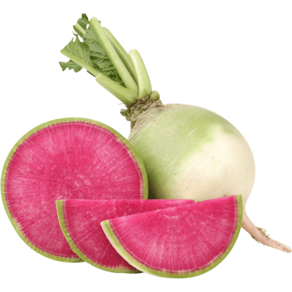 buy watermelon radish dubai freshleaf uae