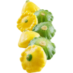 buy yellow patty pan dubai freshleaf uae