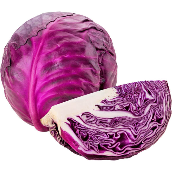 cabbage red freshleaf dubai uae