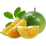 calamansi freshleaf dubai uae