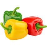 capsicum 1 color each freshleaf dubai uae