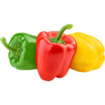 capsicum 1 color each freshleaf dubai uae