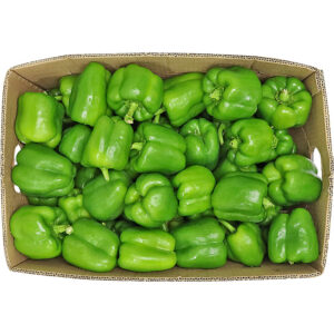 capsicum green box freshleaf dubai uae