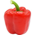 capsicum red freshleaf dubai uae