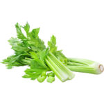 celery freshleaf dubai uae