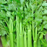 celery freshleaf dubai uae