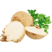celery root freshleaf dubai uae