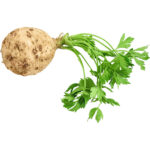 celery root freshleaf dubai uae