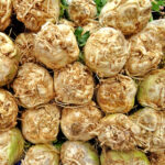 celery root freshleaf dubai uae