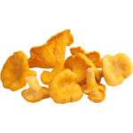 chanterelle mushrooms freshleaf dubai uae