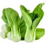 chinese cabbage freshleaf uae