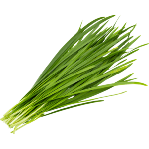 chives dubai freshleaf uae