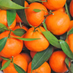 clementine freshleaf dubai uae