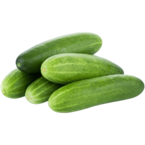 cucumber dubai freshleaf uae