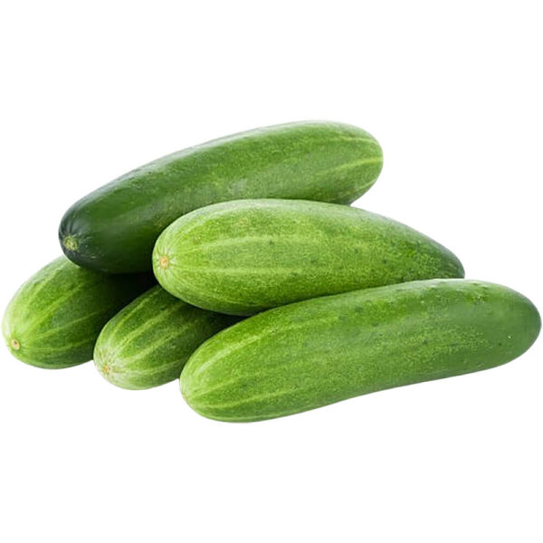 cucumber freshleaf dubai uae