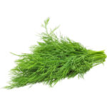 dill leaves freshleaf dubai uae