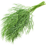 dill leaves freshleaf dubai uae