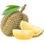 durian fruit freshleaf dubai uae