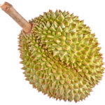 durian fruit freshleaf dubai uae