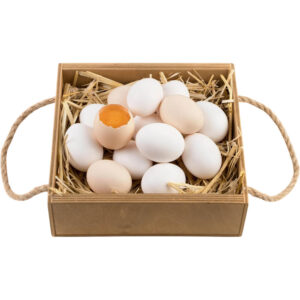 eco eggs freshleaf dubai uae