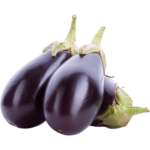 eggplant big dubai by freshleaf uae