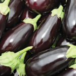 eggplant big freshleaf dubai uae