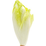 endive white freshleaf dubai uae