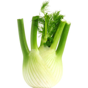 fennel freshleaf dubai uae