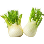 fennel freshleaf dubai uae