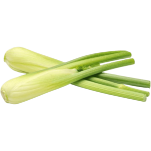 fennel freshleaf uae