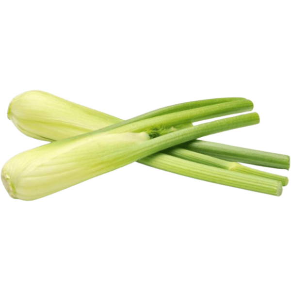 fennel freshleaf uae