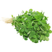 fenugreek meethi freshleaf dubai uae