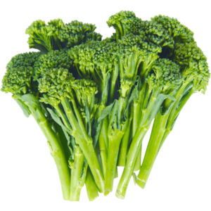 fresh baby broccolini dubai freshleaf uae