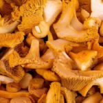 fresh chanterelle mushrooms dubai freshleaf uae