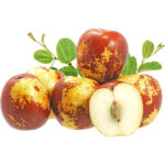 fresh chinese jujube freshleaf dubai uae