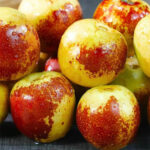 fresh chinese jujube freshleaf dubai uae