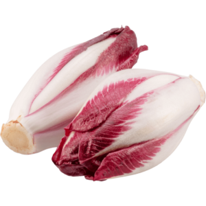 fresh endive red dubai freshleaf uae