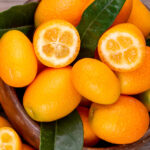 fresh kumquats freshleaf uae