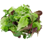 fresh mesclun mix dubai freshleaf uae