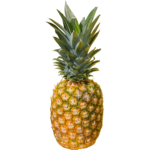 fresh pineapple dubai freshleaf uae