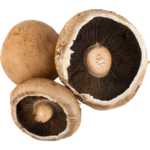 fresh portobello mushroom dubai freshleaf uae