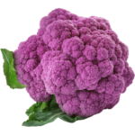 fresh purple cauliflower dubai freshleaf uae