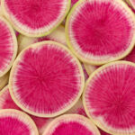 fresh watermelon radish dubai freshleaf uae