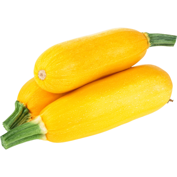 fresh zucchini yellow dubai freshleaf uae