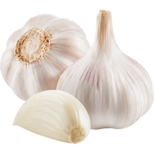 garlic dubai freshleaf uae