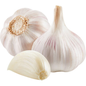 garlic freshleaf dubai uae