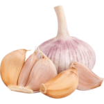 garlic peeled dubai freshleaf uae